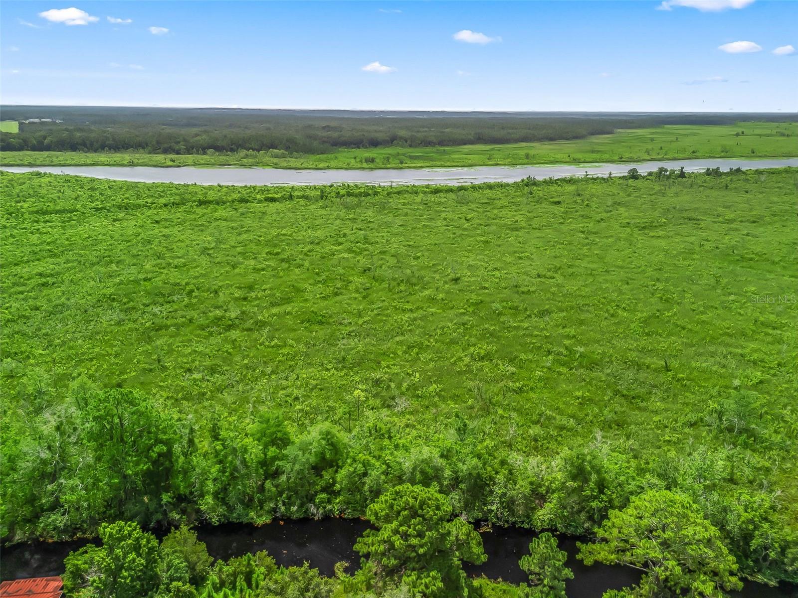 18470 SE HIGHWAY 42, WEIRSDALE, FL, 32195