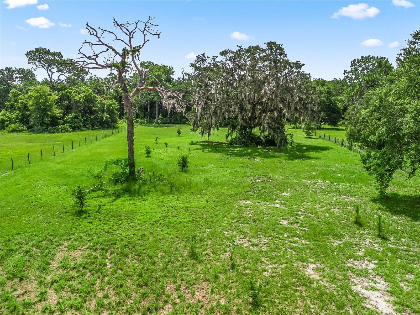 18470 SE HIGHWAY 42, WEIRSDALE, FL, 32195