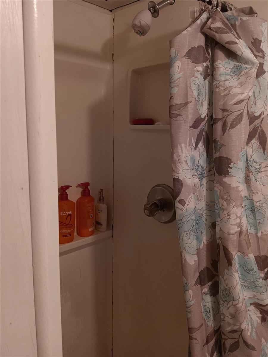 9593 SE 164TH PL, SUMMERFIELD, FL, 34491