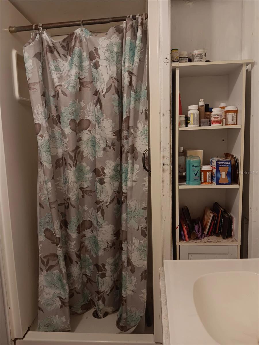 9593 SE 164TH PL, SUMMERFIELD, FL, 34491