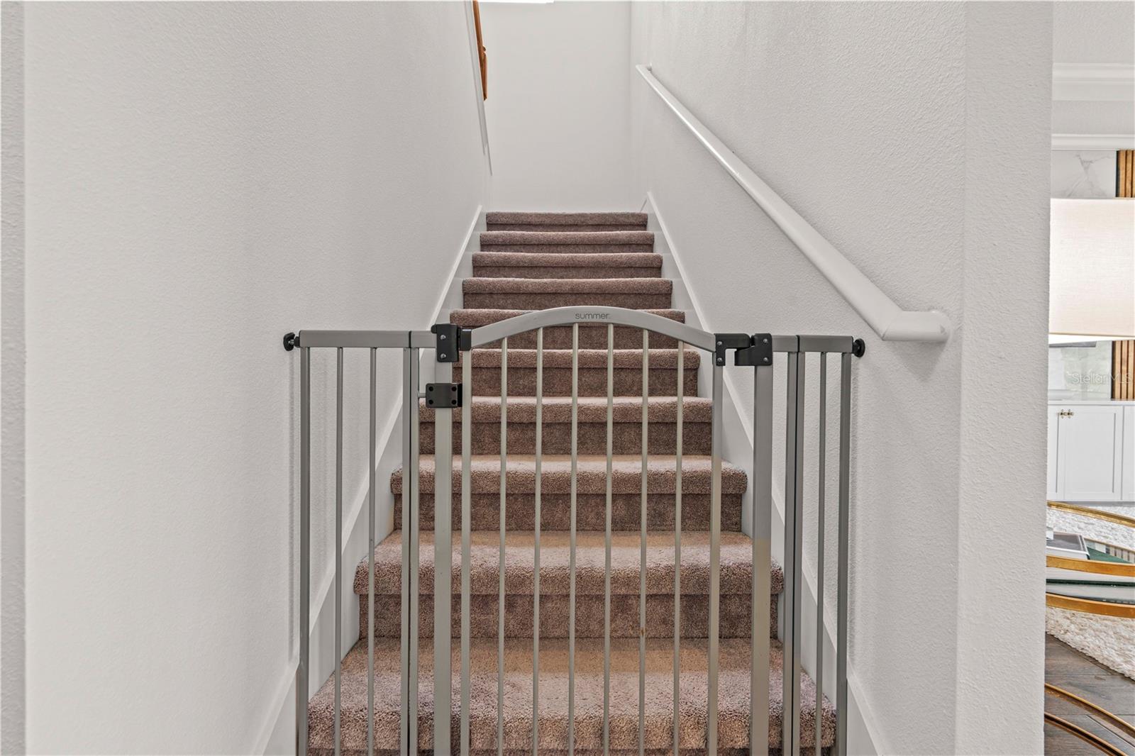 22034 STORYBOOK CABIN WAY, LAND O LAKES, FL, 34637