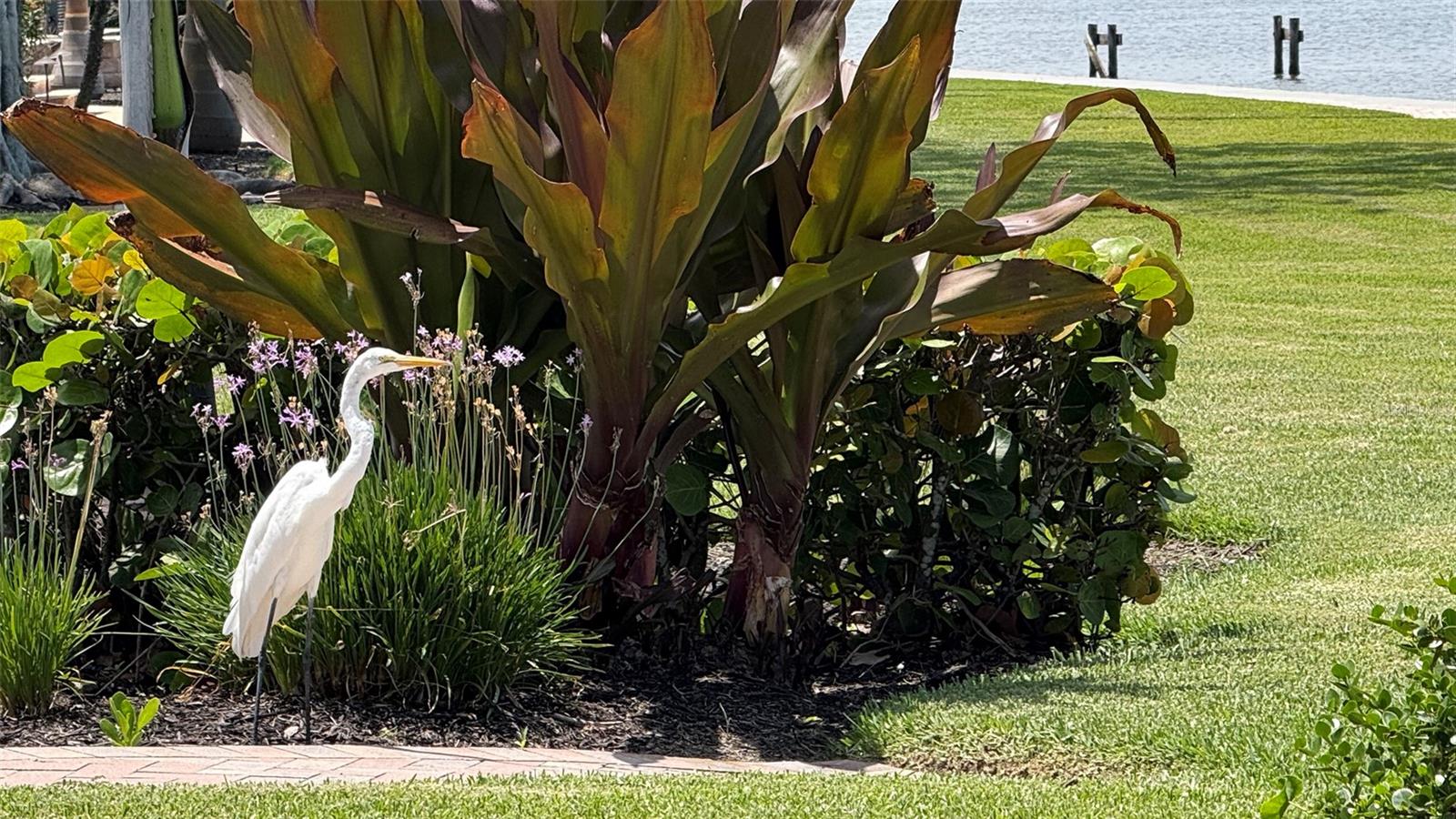 A4657960 Property Photo