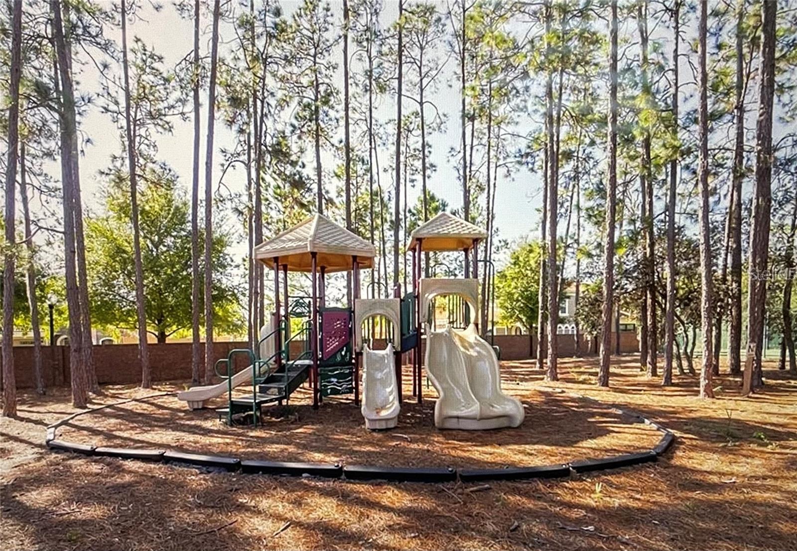 8974 GREY HAWK PT, ORLANDO, FL, 32836