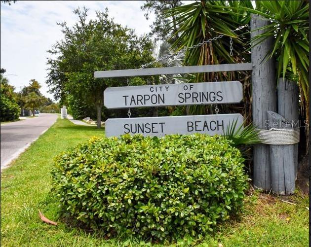 1140 S POINTE ALEXIS DR, TARPON SPRINGS, FL, 34689