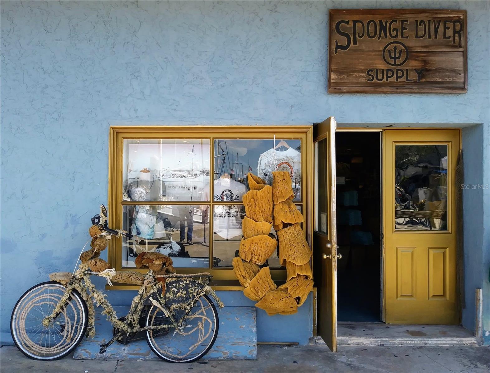 1140 S POINTE ALEXIS DR, TARPON SPRINGS, FL, 34689