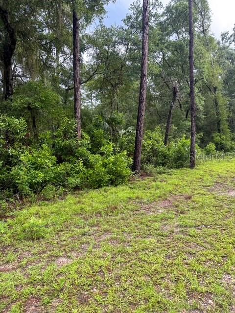 TBD NW 97 CT, CHIEFLAND, FL, 32626