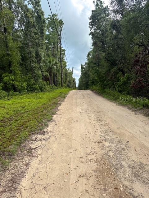 TBD NW 97 CT, CHIEFLAND, FL, 32626