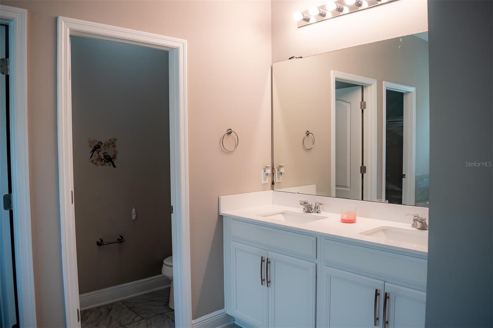 14419 MAGNOLIA RIDGE LOOP, WINTER GARDEN, FL, 34787