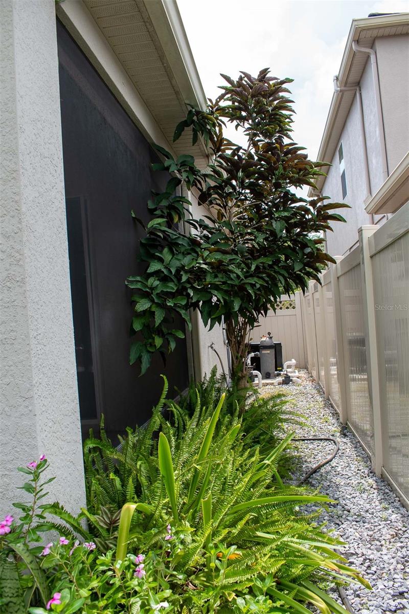 14419 MAGNOLIA RIDGE LOOP, WINTER GARDEN, FL, 34787