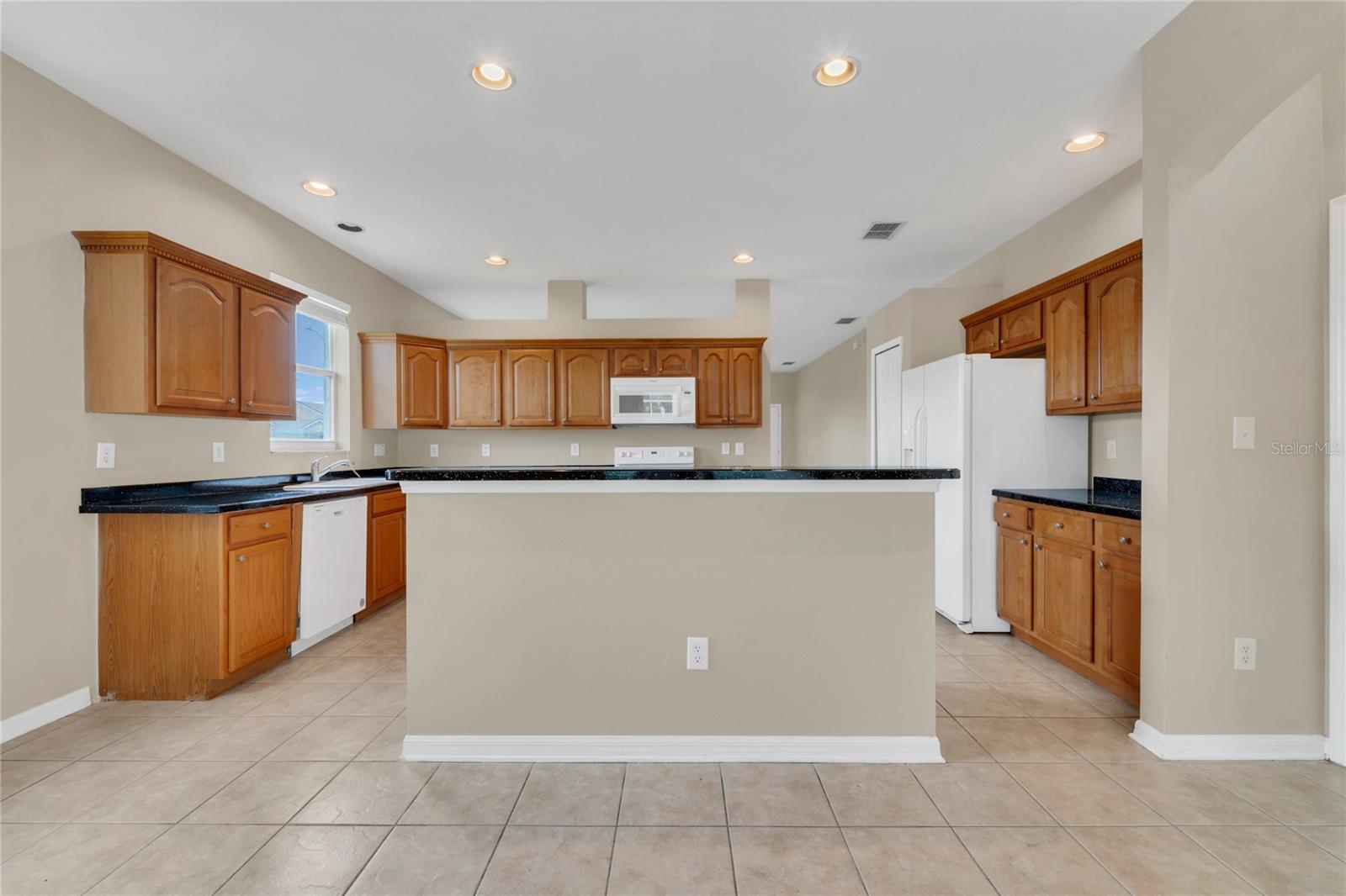 24600 VICTORIA WOOD CT, LUTZ, FL, 33559