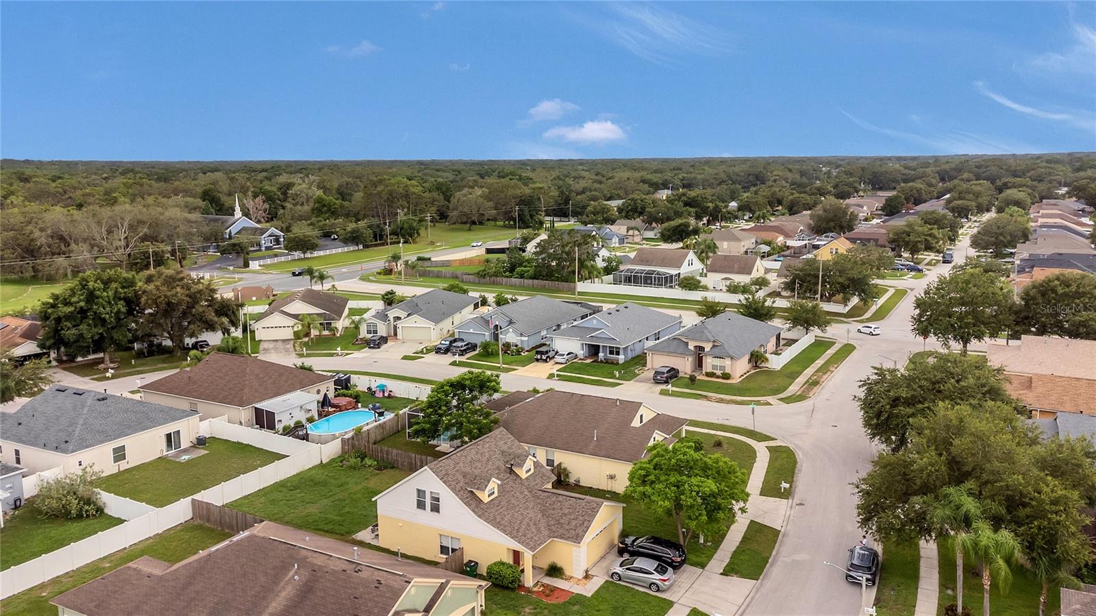 24600 VICTORIA WOOD CT, LUTZ, FL, 33559