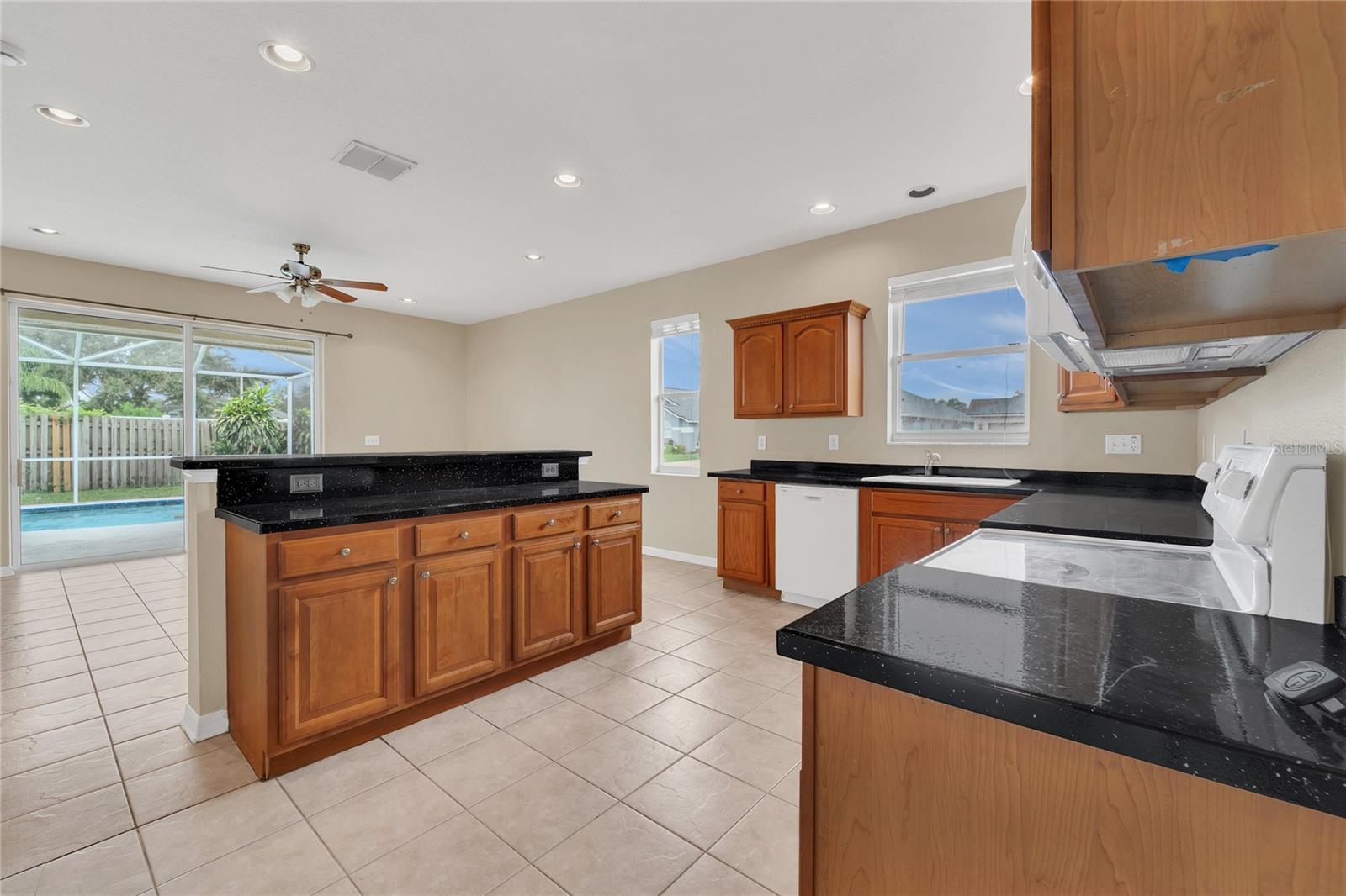 24600 VICTORIA WOOD CT, LUTZ, FL, 33559