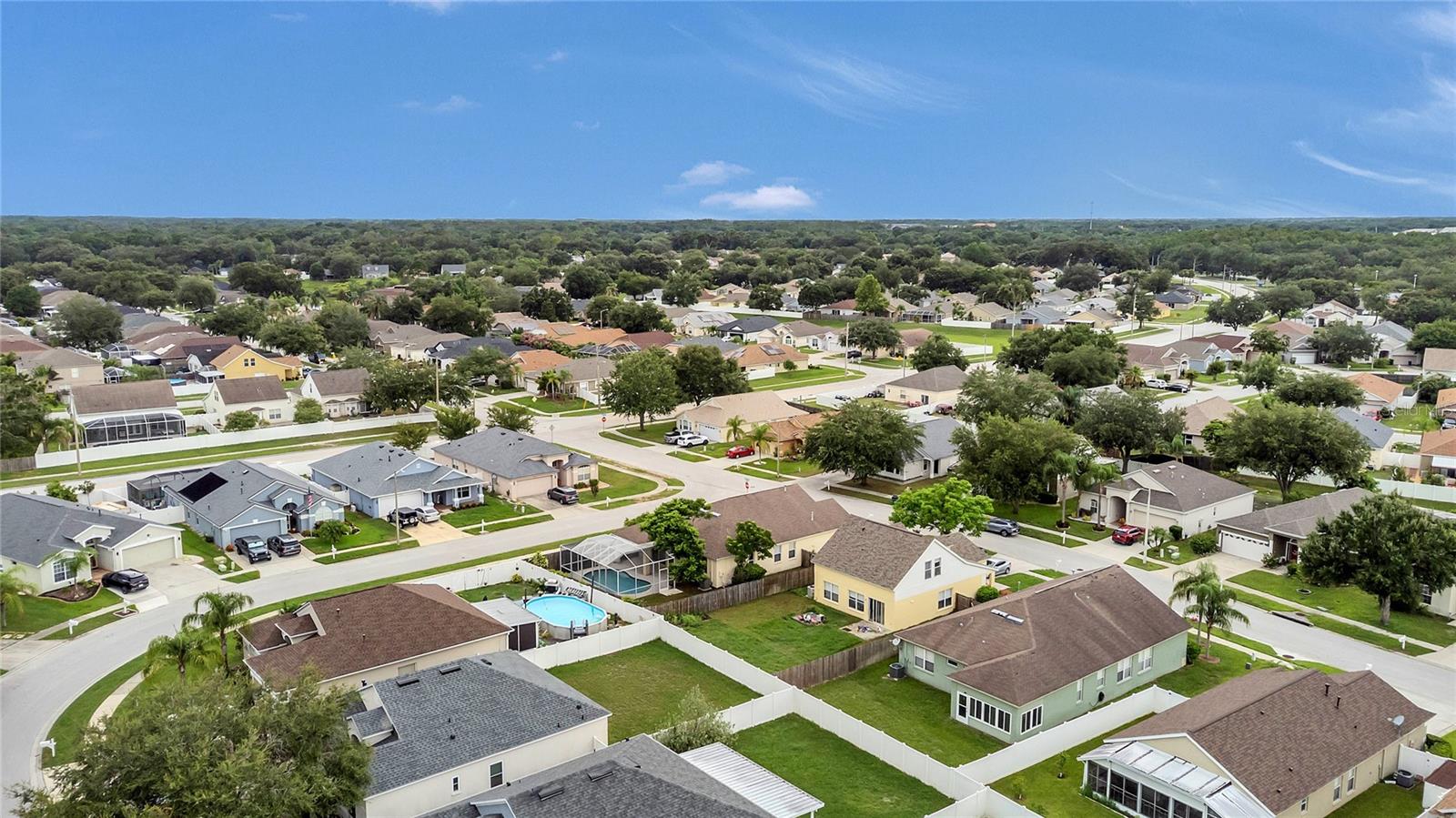 24600 VICTORIA WOOD CT, LUTZ, FL, 33559