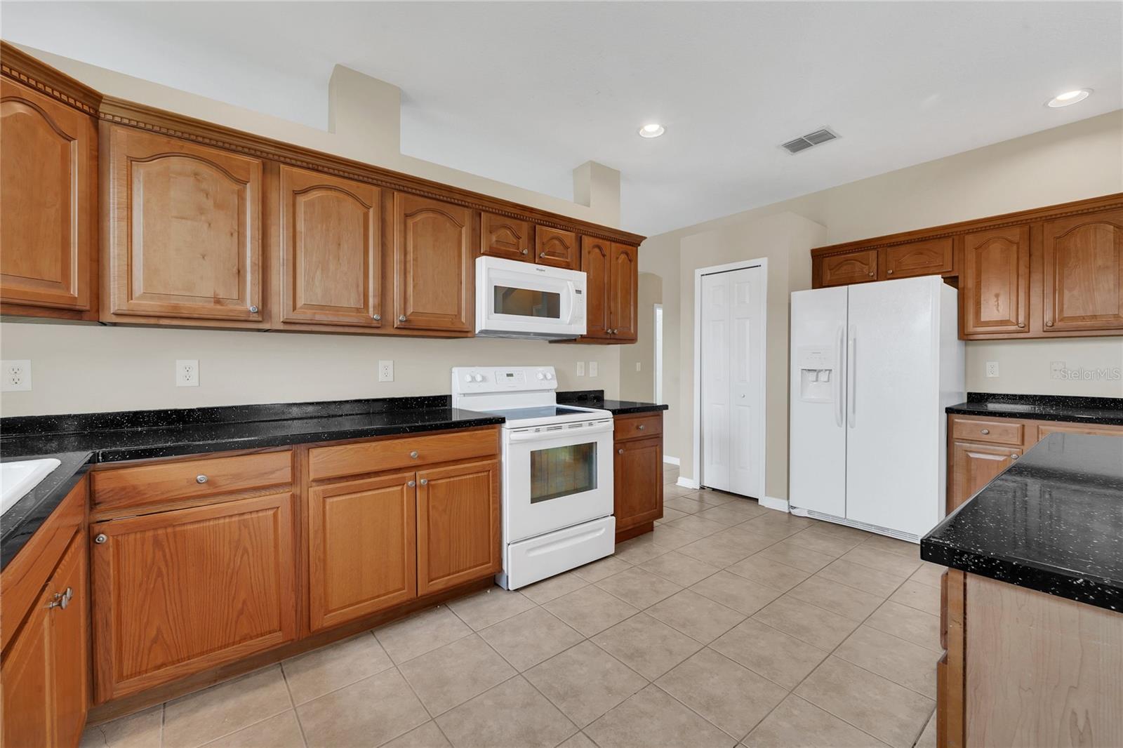 24600 VICTORIA WOOD CT, LUTZ, FL, 33559