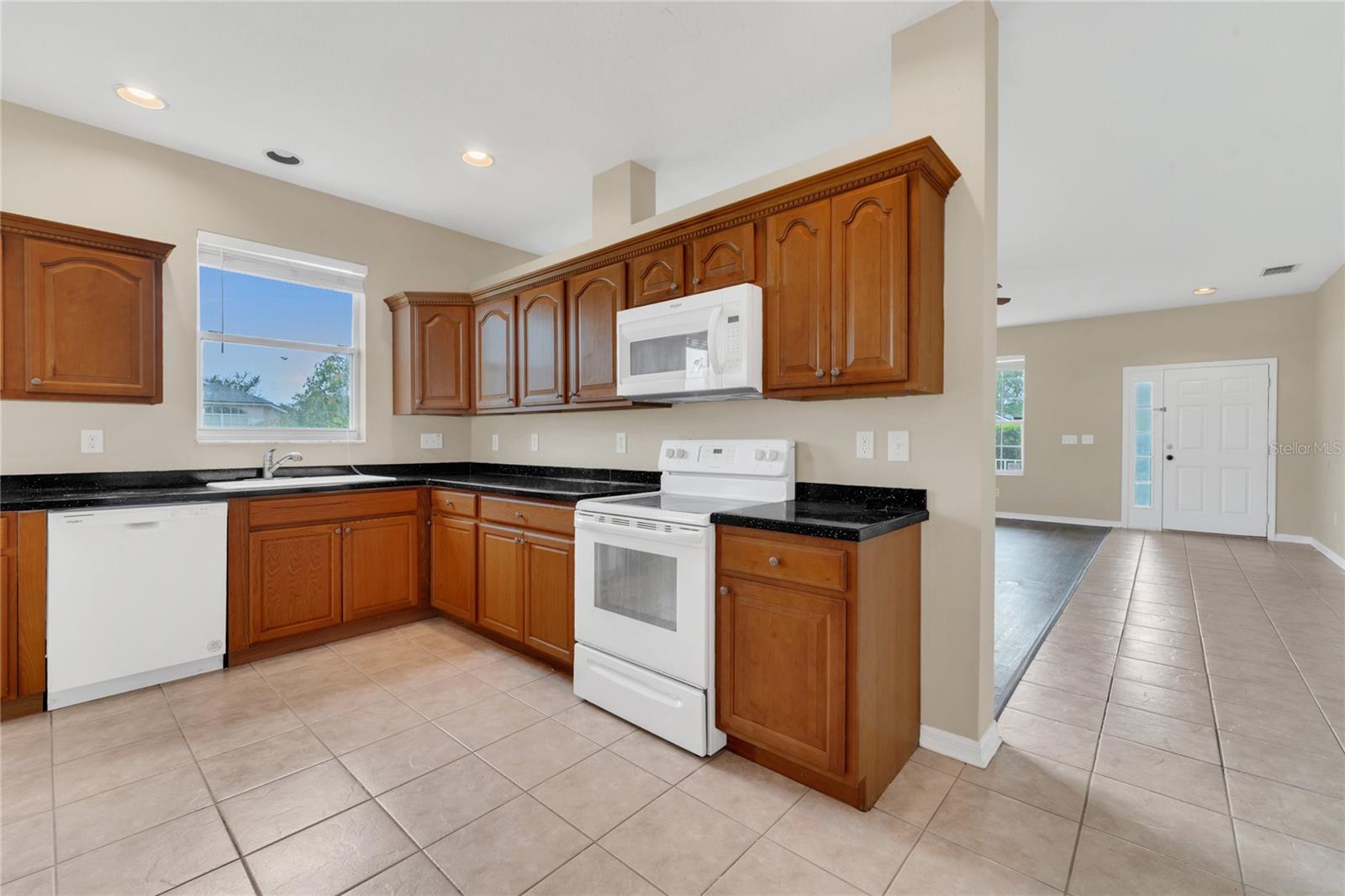 24600 VICTORIA WOOD CT, LUTZ, FL, 33559