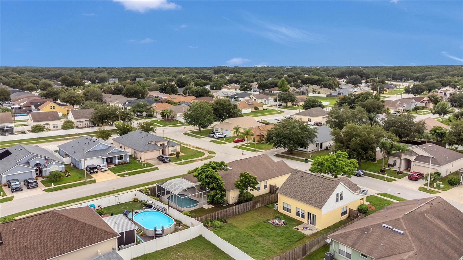 24600 VICTORIA WOOD CT, LUTZ, FL, 33559