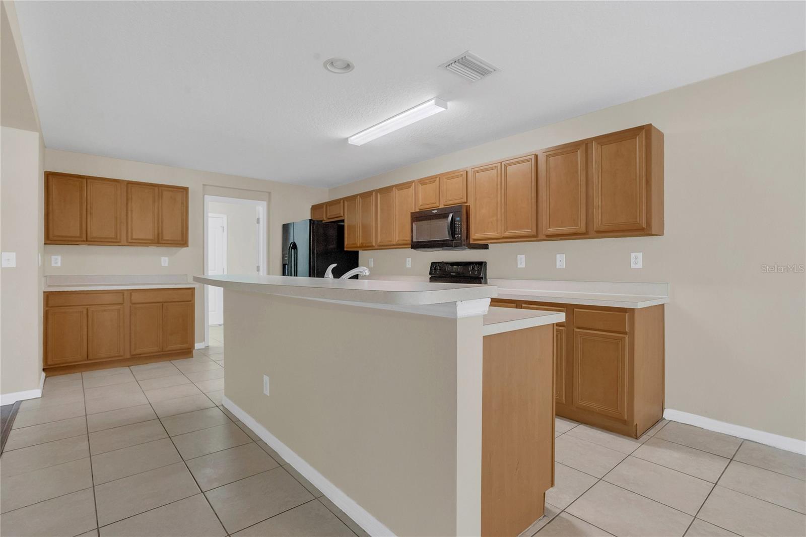 316 CRICHTON ST, RUSKIN, FL, 33570