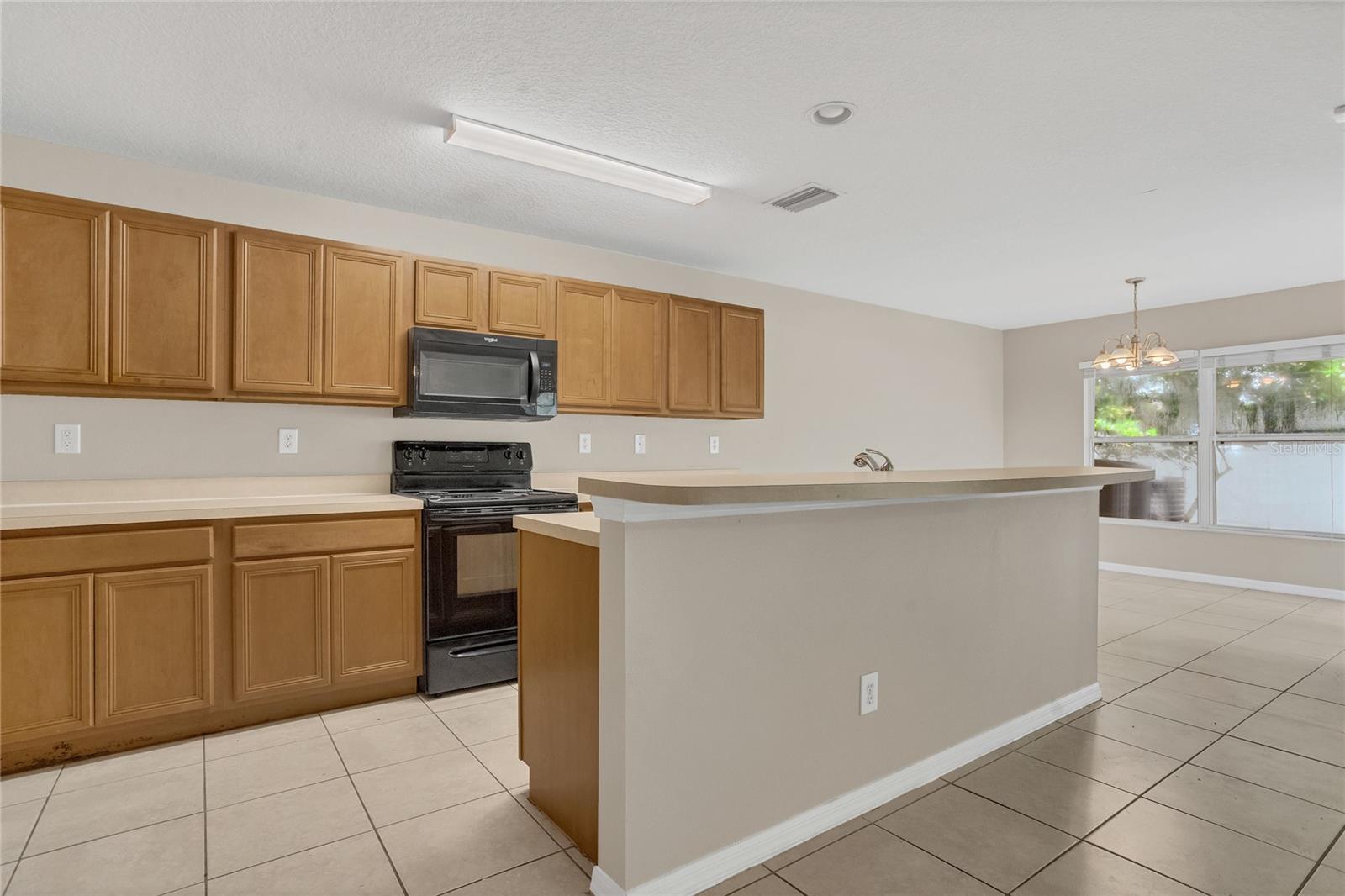 316 CRICHTON ST, RUSKIN, FL, 33570