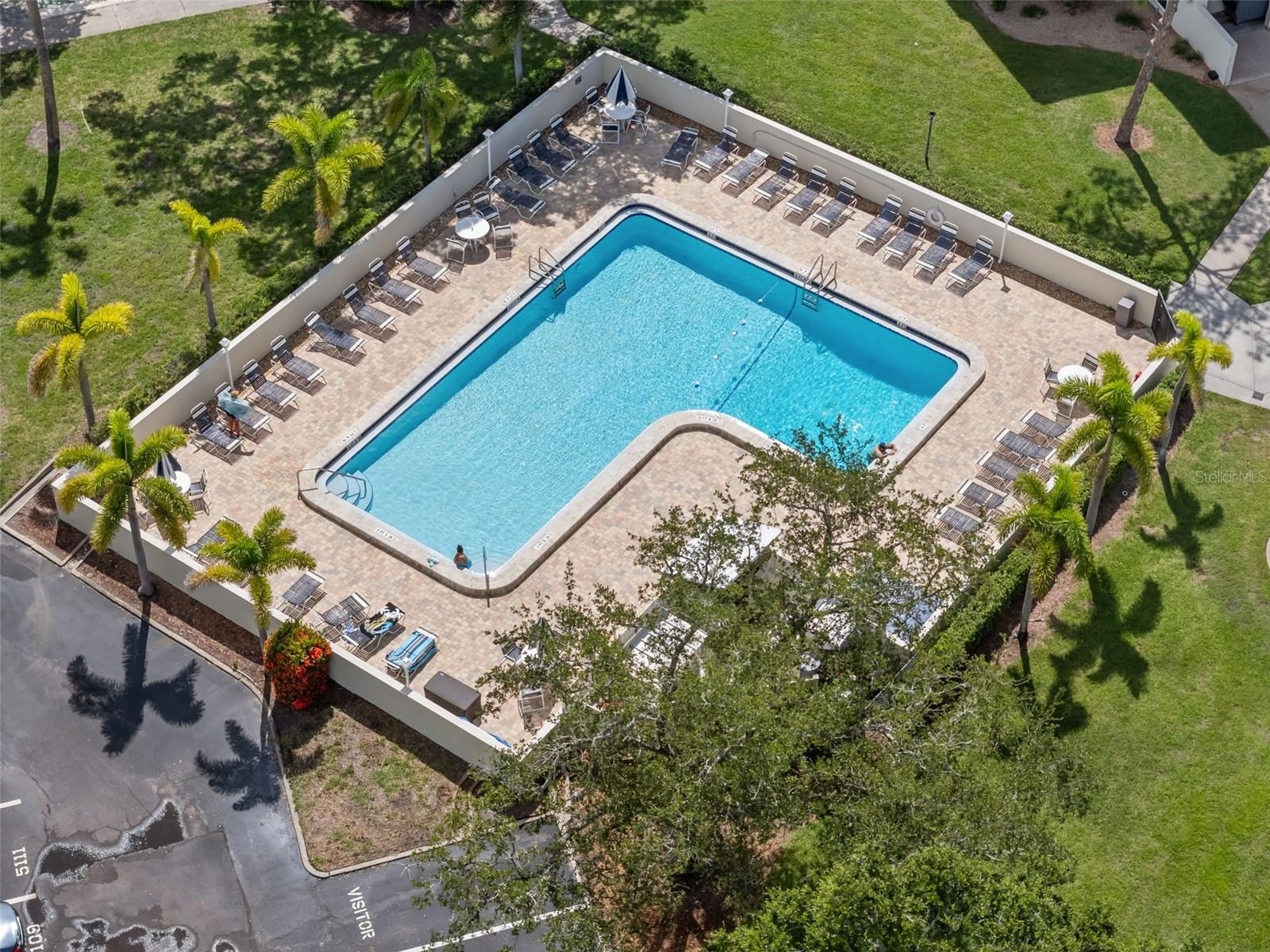 2700 BAYSHORE BLVD #2312, DUNEDIN, FL, 34698