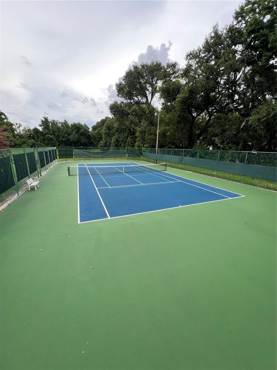 10506 DOWN LAKEVIEW CIR, WINDERMERE, FL, 34786