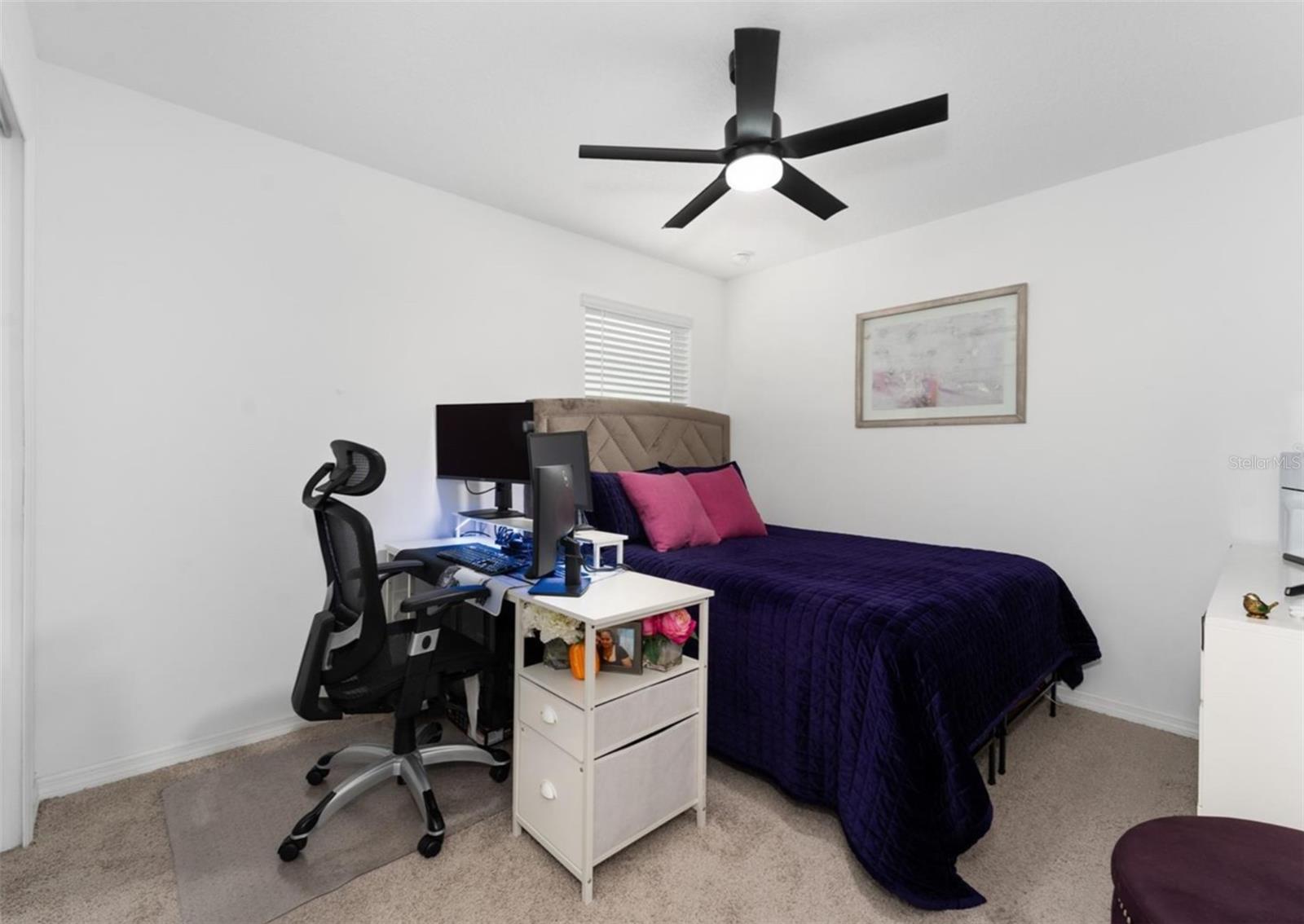 332 PINK LBIS, ST CLOUD, FL, 34772