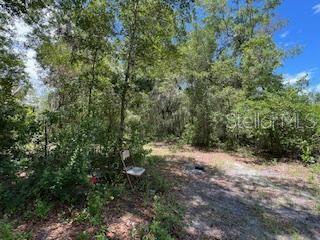 TB8404303 Property Photo