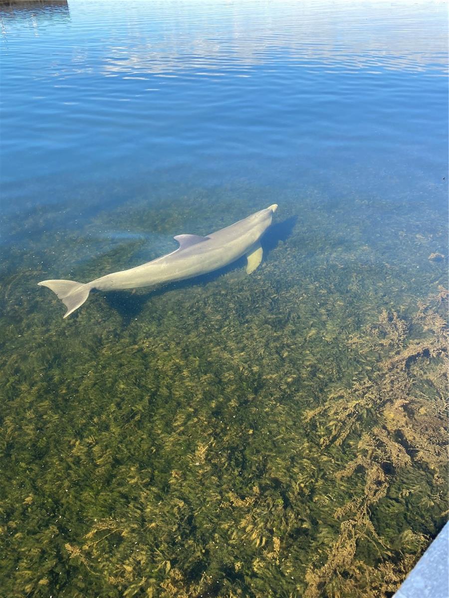 SALTWATER BLVD, HUDSON, FL, 34667