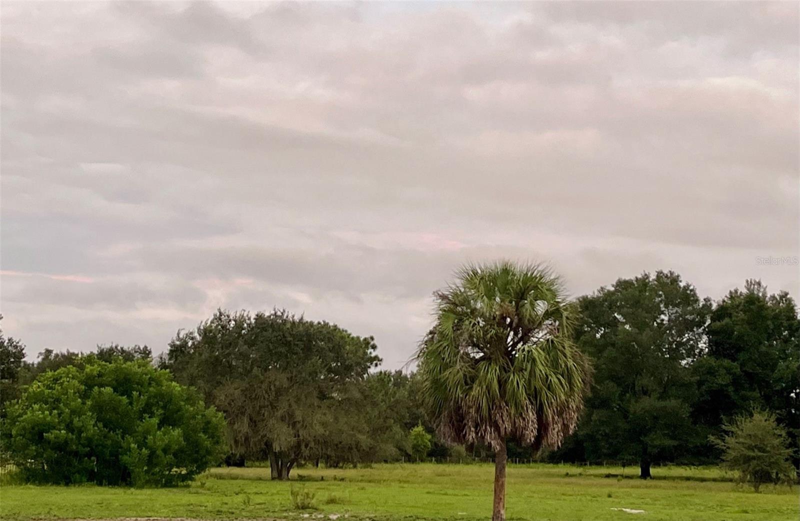 SW 107TH ST, ARCHER, FL, 32618