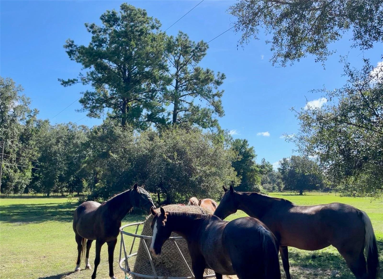 SW 107TH ST, ARCHER, FL, 32618