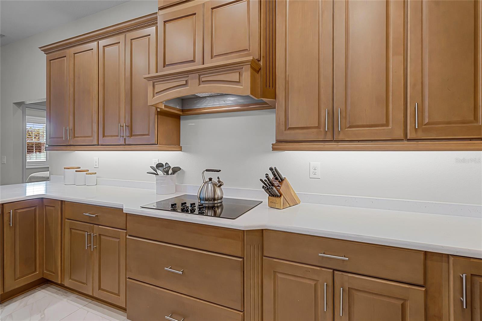 926 JOHN CRESSLER DR, SEFFNER, FL, 33584