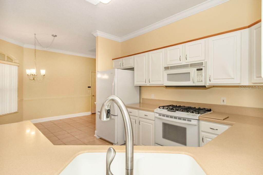 10136 KINGSBRIDGE AVE, TAMPA, FL, 33626