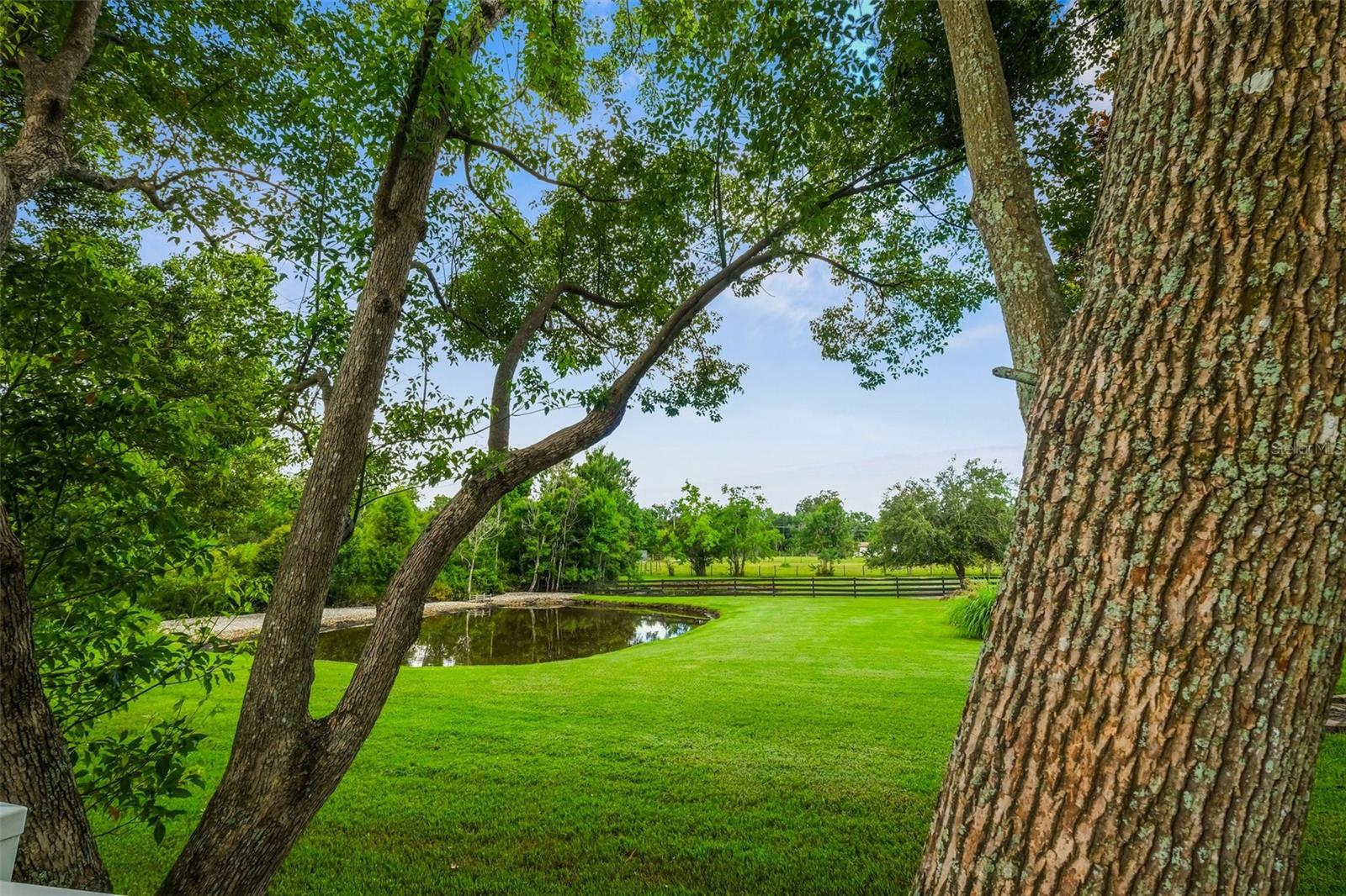 18605 SAN RIO CIR, LUTZ, FL, 33549