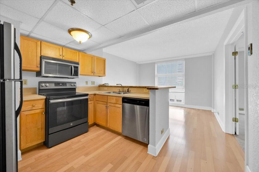 151 E WASHINGTON ST #507, ORLANDO, FL, 32801