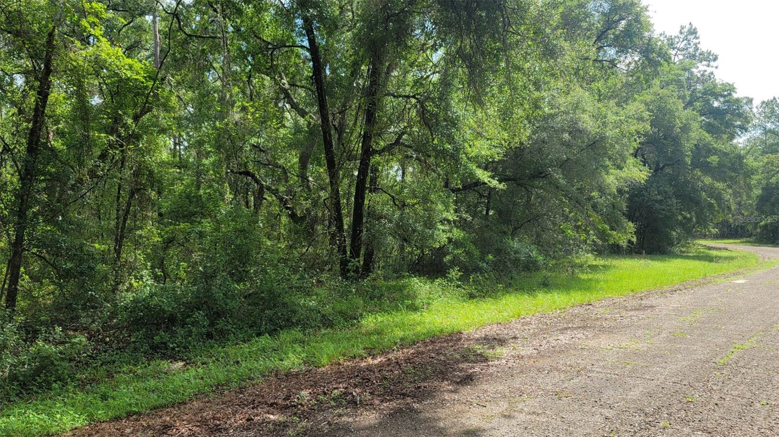 373 E AVONDALE DR, CITRUS SPRINGS, FL, 34434