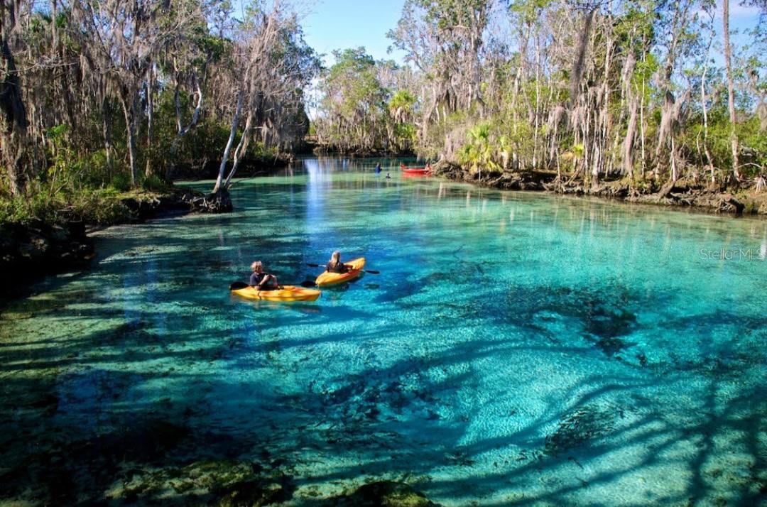 373 E AVONDALE DR, CITRUS SPRINGS, FL, 34434