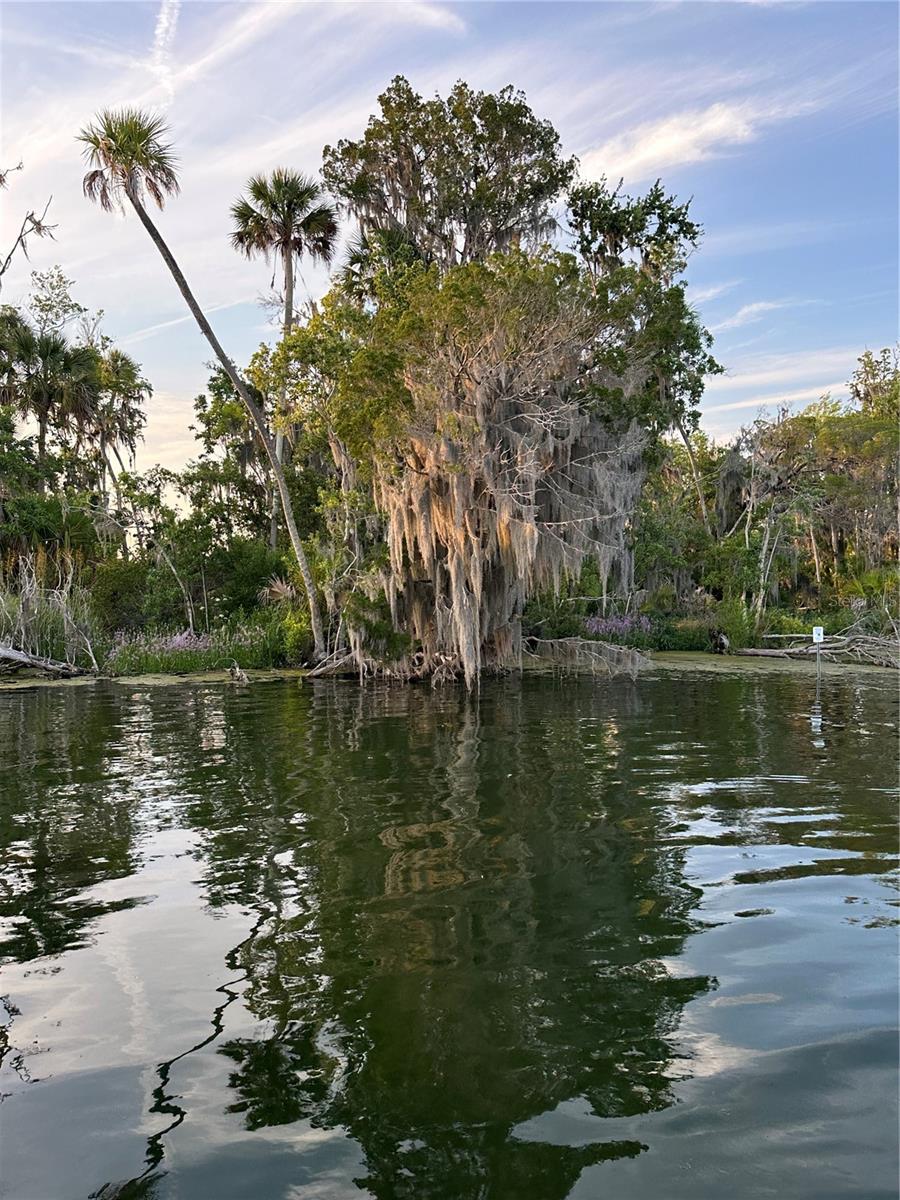 373 E AVONDALE DR, CITRUS SPRINGS, FL, 34434