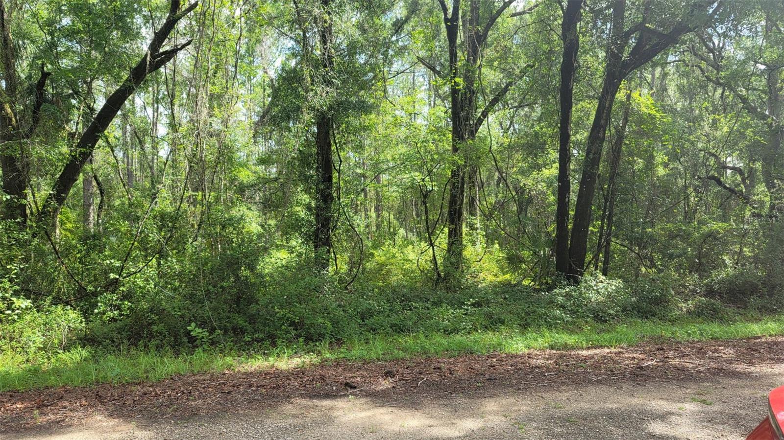 373 E AVONDALE DR, CITRUS SPRINGS, FL, 34434