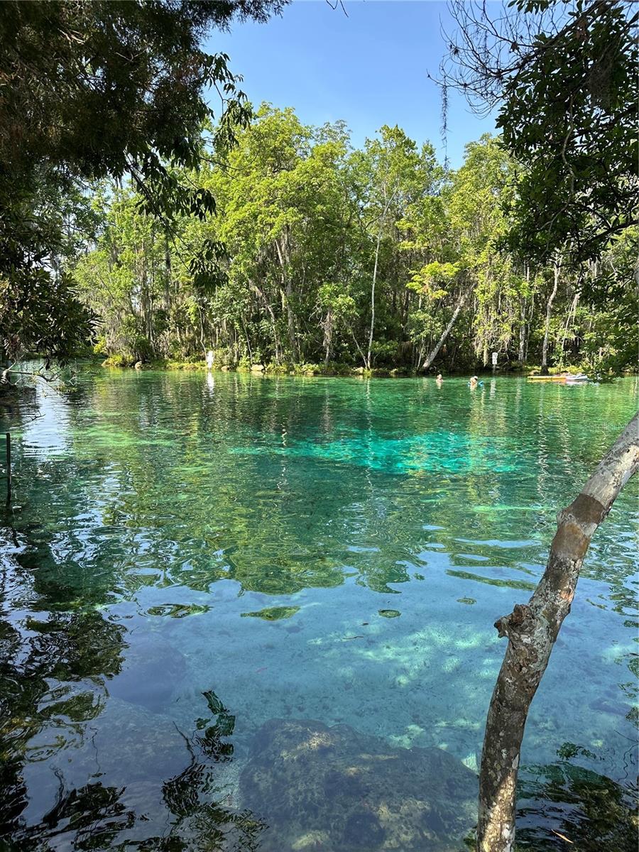 373 E AVONDALE DR, CITRUS SPRINGS, FL, 34434