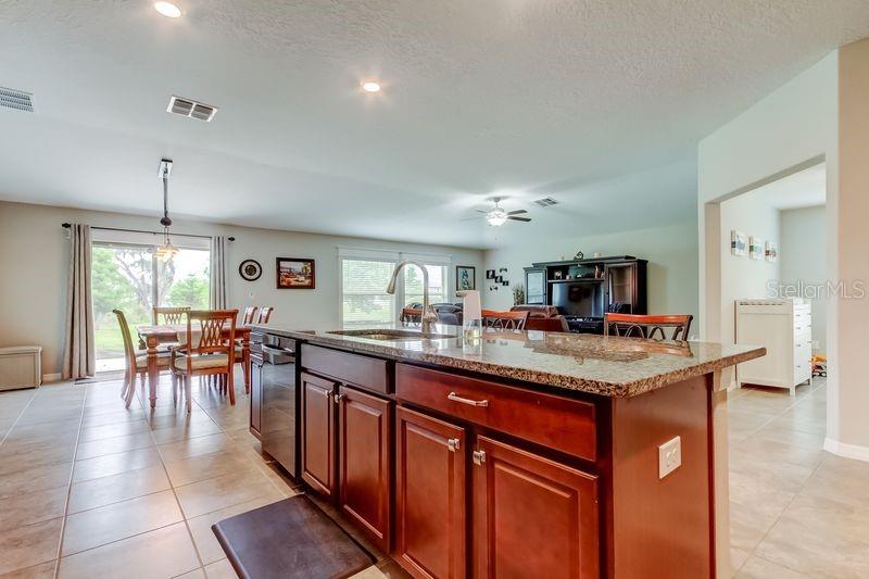 6395 COBBLE BLISS ST, ZEPHYRHILLS, FL, 33541