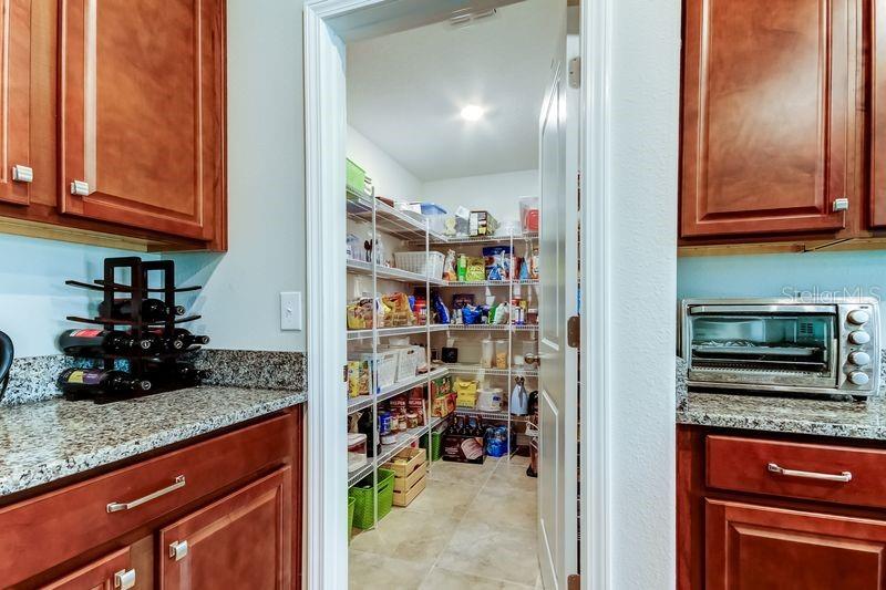 6395 COBBLE BLISS ST, ZEPHYRHILLS, FL, 33541