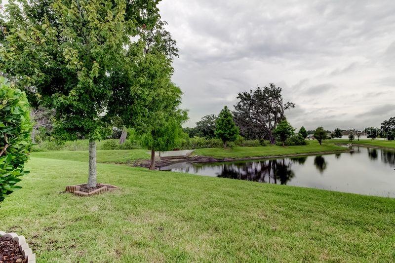 6395 COBBLE BLISS ST, ZEPHYRHILLS, FL, 33541