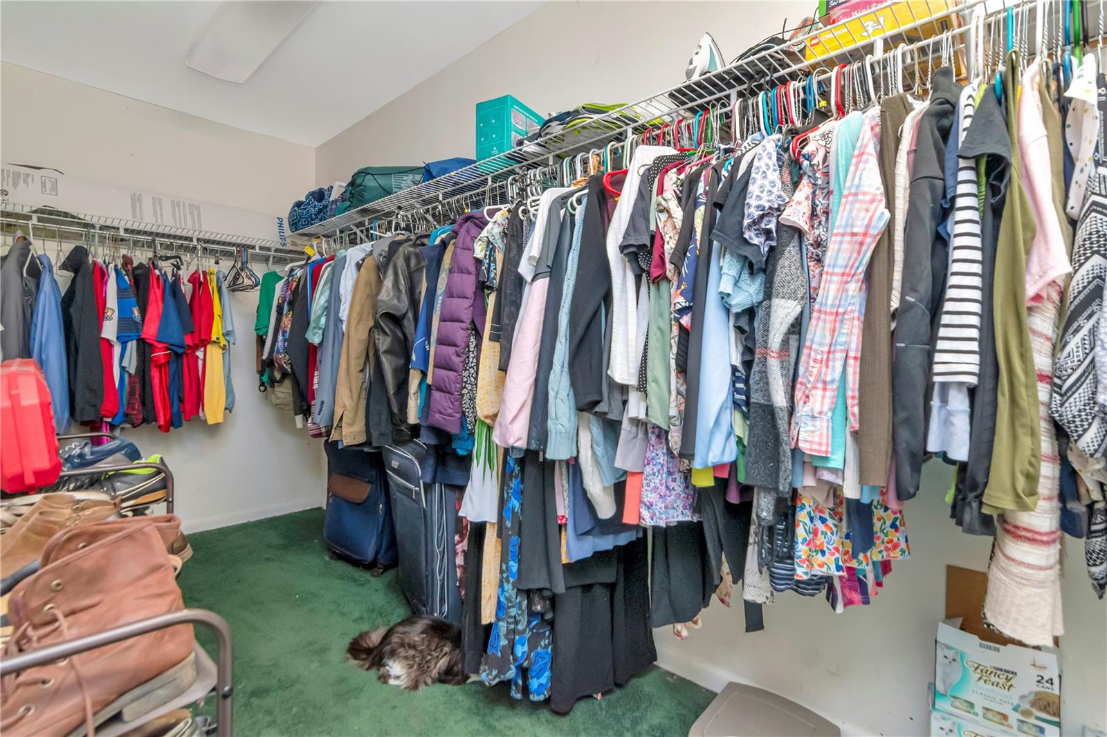 3129 W PARIS ST, TAMPA, FL, 33614