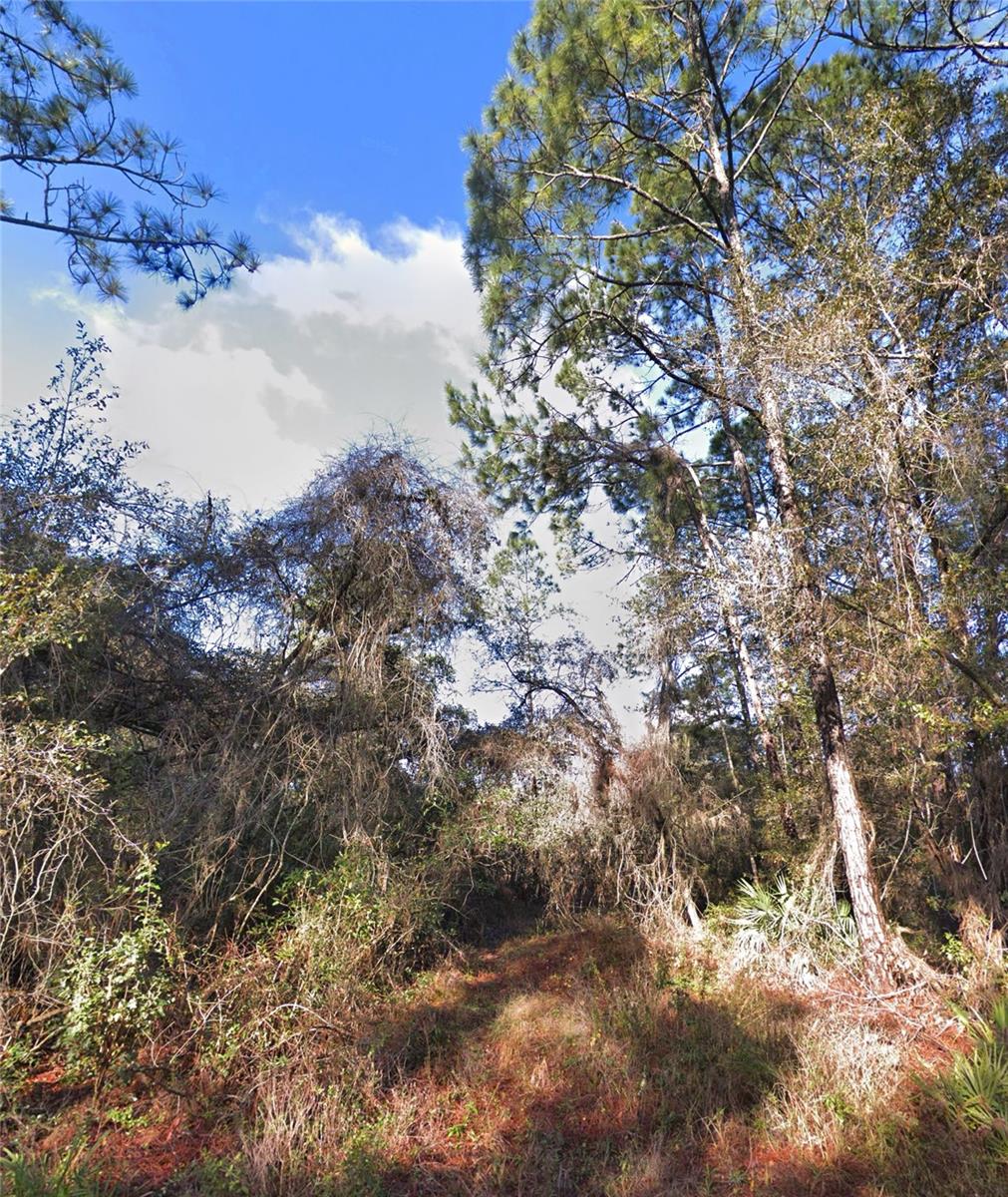 WISHING STONE ST, WEBSTER, FL, 33597