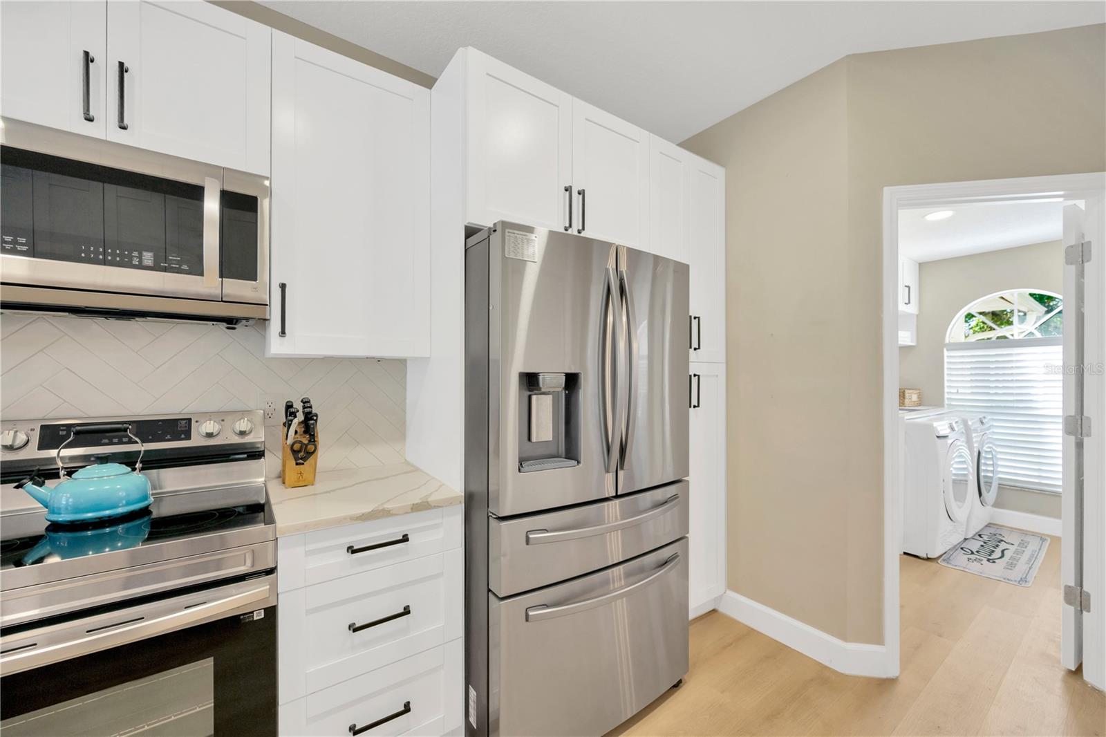 4617 BASSWOOD ST NE, LAND O LAKES, FL, 34639