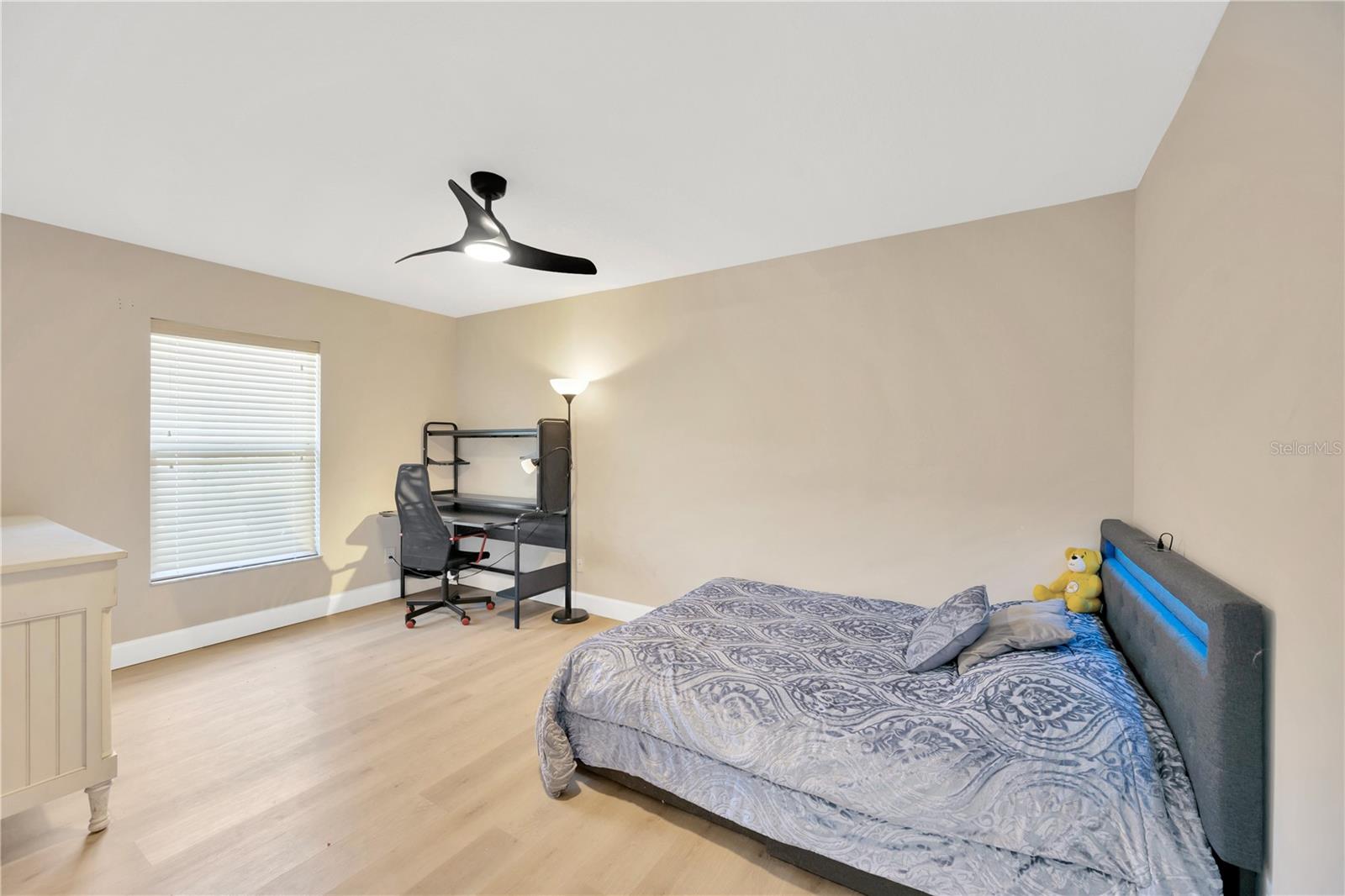 4617 BASSWOOD ST NE, LAND O LAKES, FL, 34639