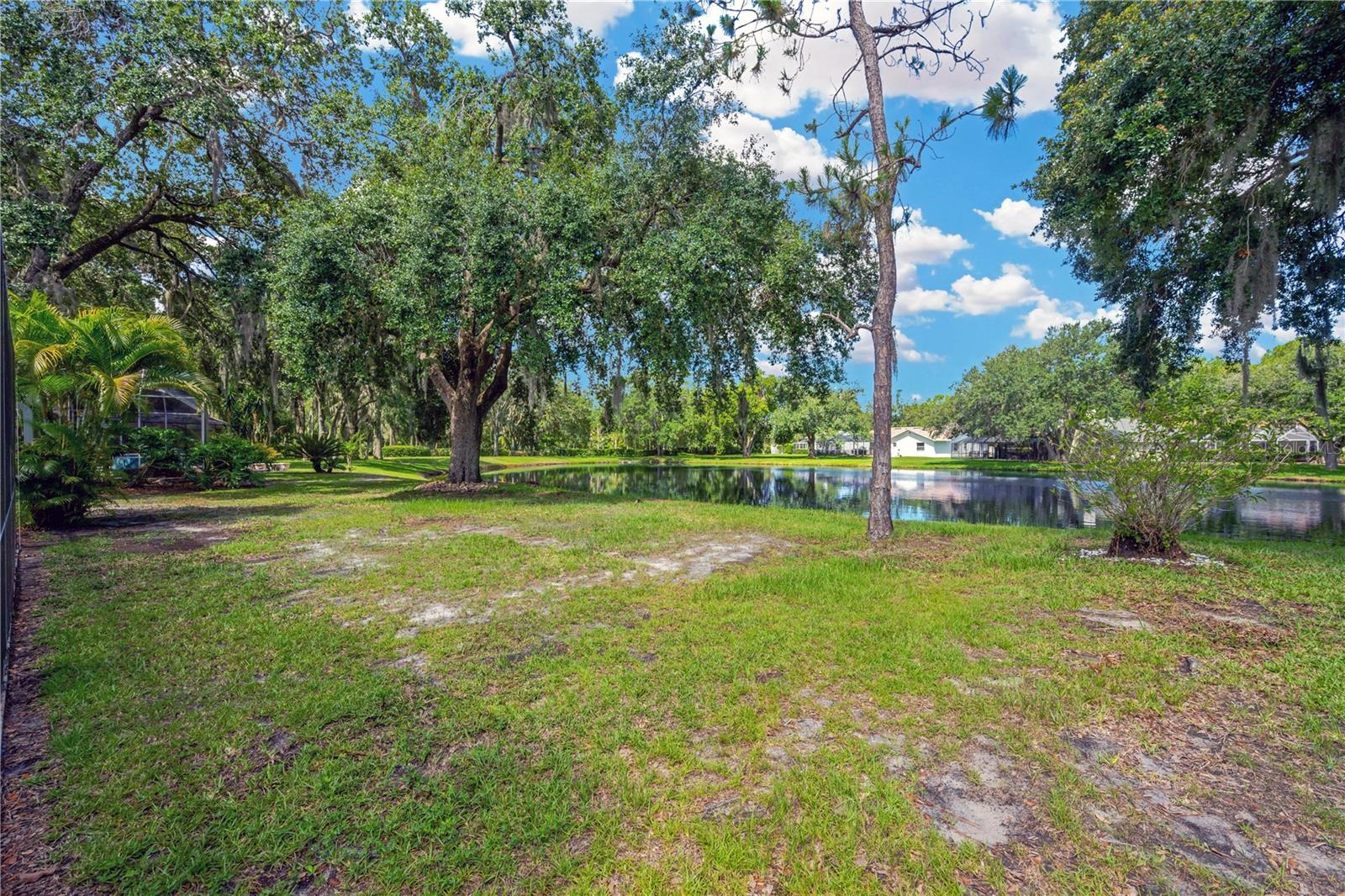 4617 BASSWOOD ST NE, LAND O LAKES, FL, 34639