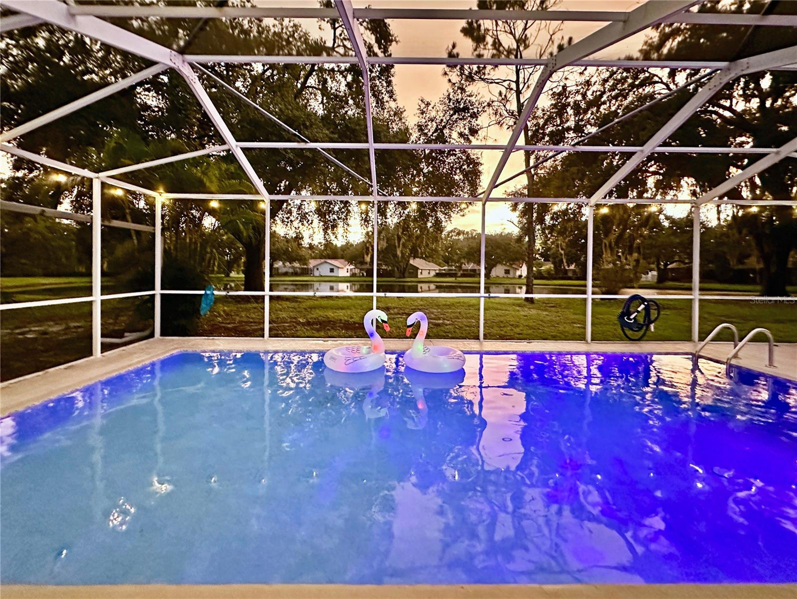 4617 BASSWOOD ST NE, LAND O LAKES, FL, 34639