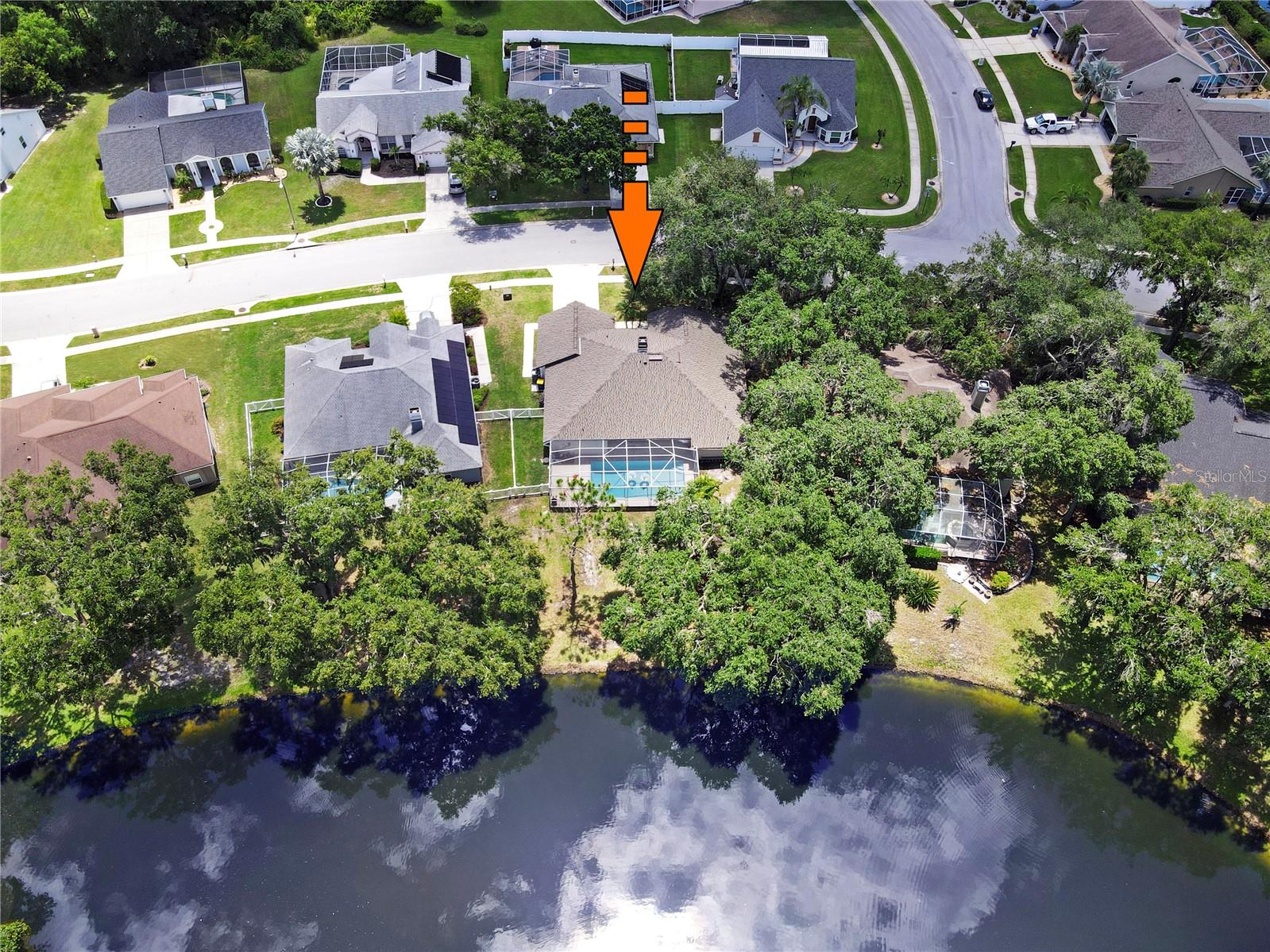 4617 BASSWOOD ST NE, LAND O LAKES, FL, 34639