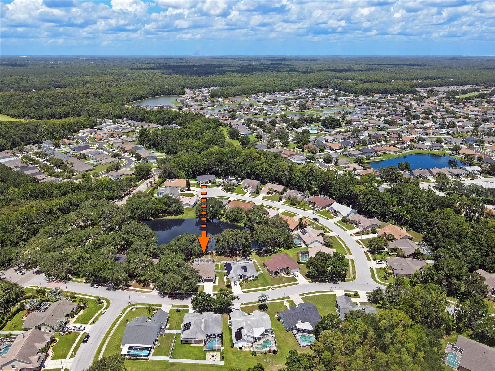 4617 BASSWOOD ST NE, LAND O LAKES, FL, 34639