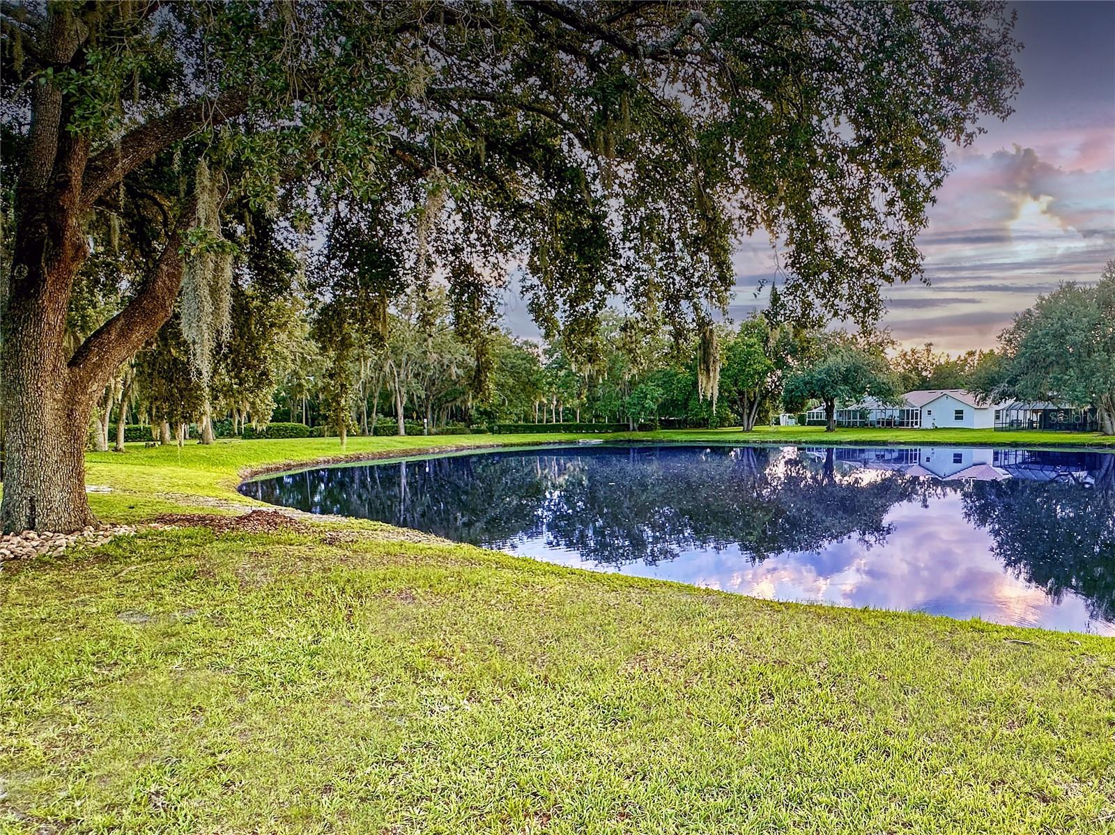 4617 BASSWOOD ST NE, LAND O LAKES, FL, 34639